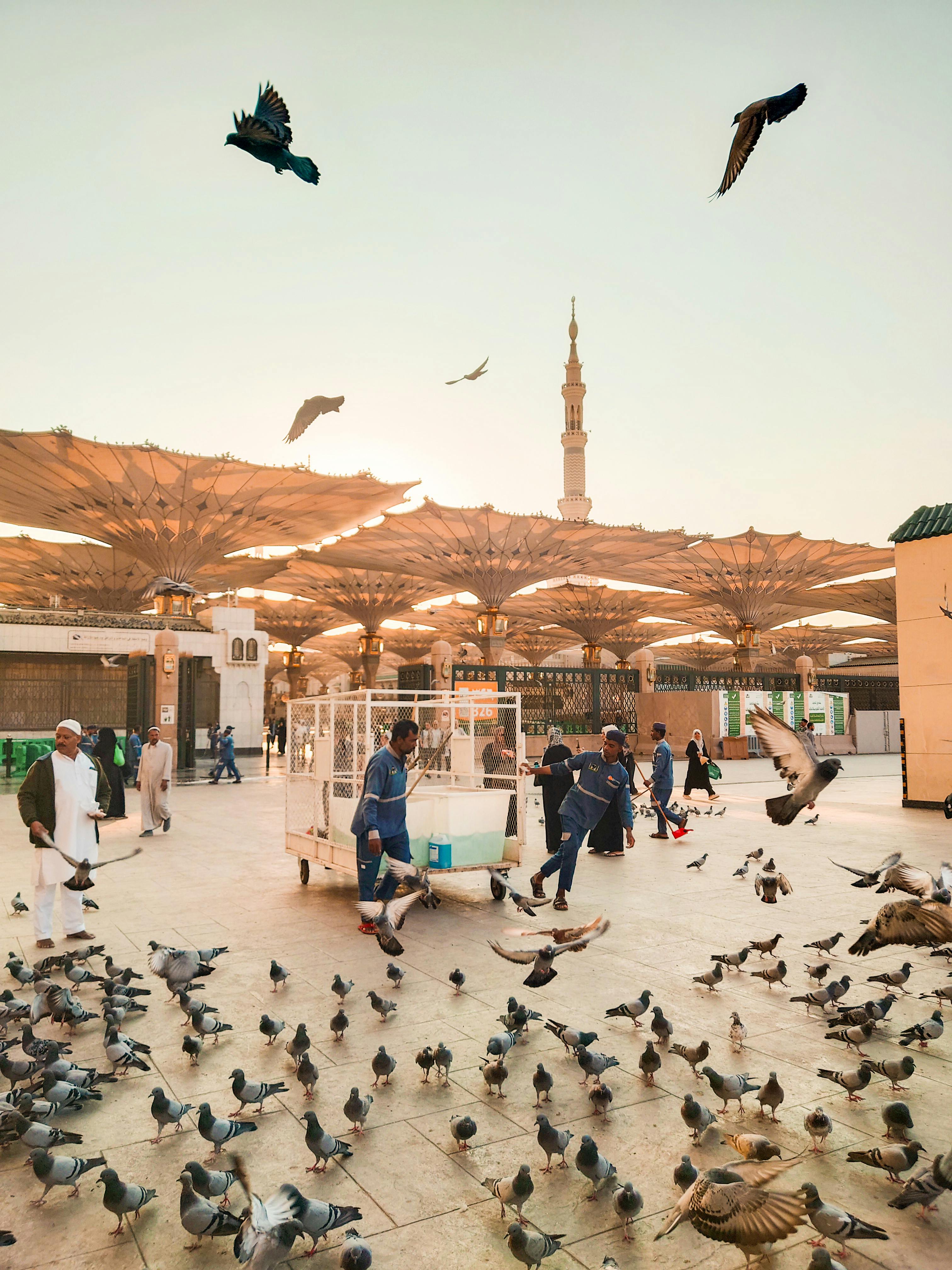7 Best Places to Visit in Madinah for Umrah Pilgrims - Umrah Travel Guide